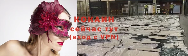 молекула духа Бородино