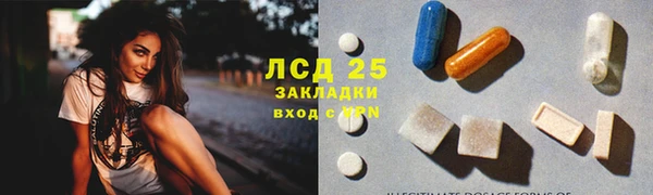 молекула духа Бородино