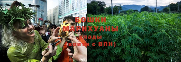 молекула духа Бородино
