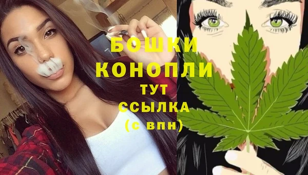 молекула духа Бородино
