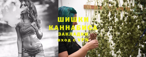 гидра Бронницы