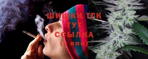молекула духа Бородино