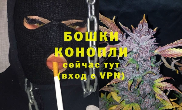 молекула духа Бородино
