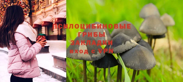 молекула духа Бородино