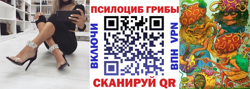 Псилоцибиновые грибы Psilocybe Купить Волчанск